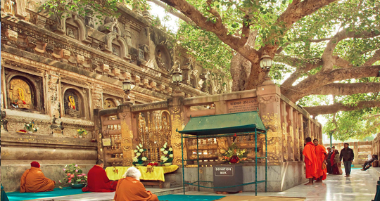 buddha-pilgrimage-tour
